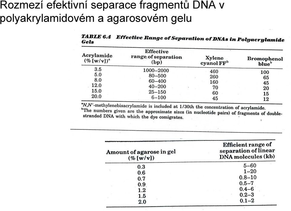 DNA v