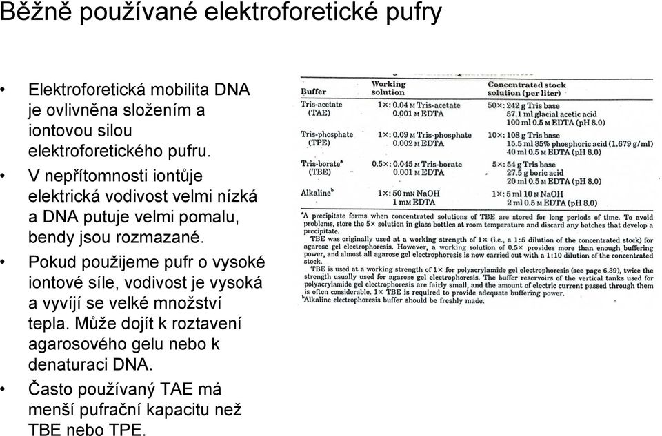 V nepřítomnosti iontůje elektrická vodivost velmi nízká a DNA putuje velmi pomalu, bendy jsou rozmazané.