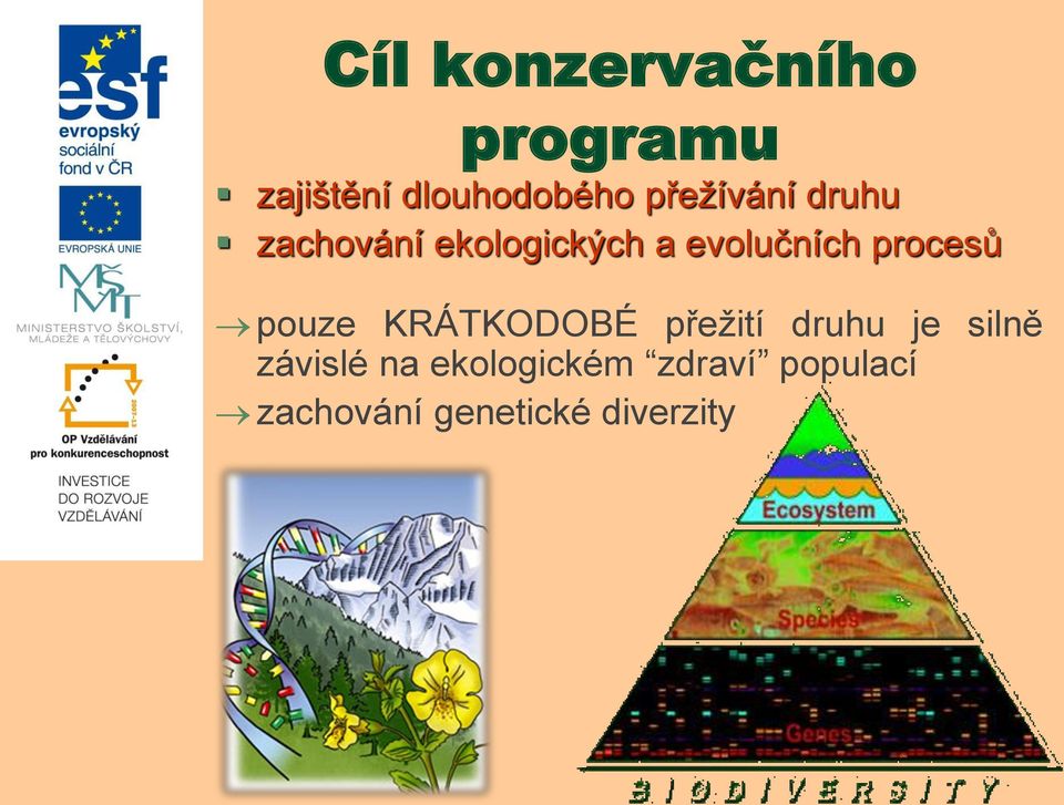 procesů pouze KRÁTKODOBÉ přežití druhu je silně