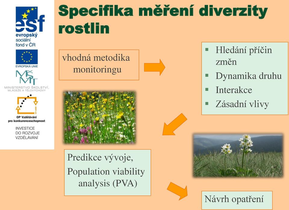 Dynamika druhu Interakce Zásadní vlivy Predikce