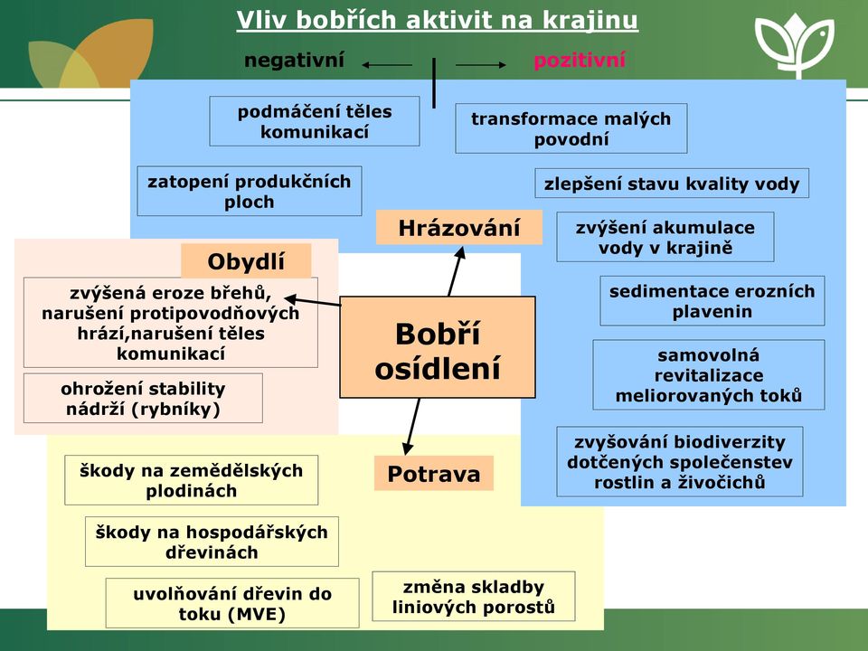 hospodářských dřevinách Hrázování Bobří osídlení Potrava zlepšení stavu kvality vody zvýšení akumulace vody v krajině sedimentace erozních plavenin