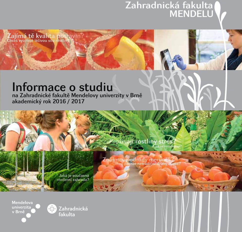 Informace o studiu na Zahradnické fakultě Mendelovy univerzity v Brně akademický