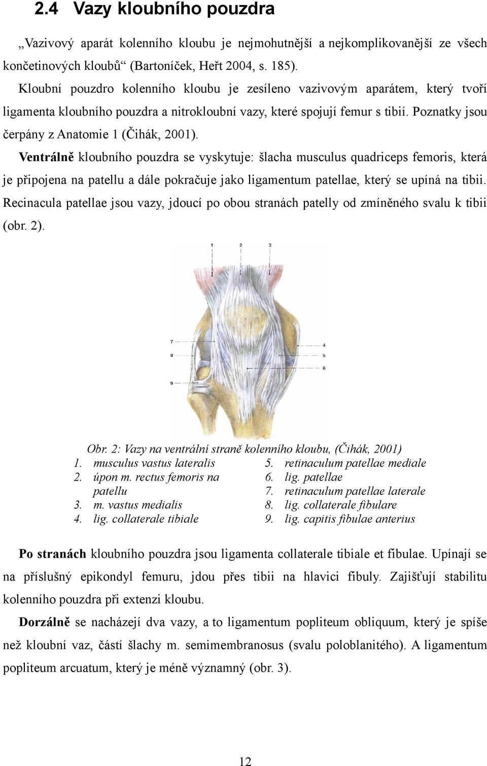 Poznatky jsou čerpány z Anatomie 1 (Čihák, 2001).