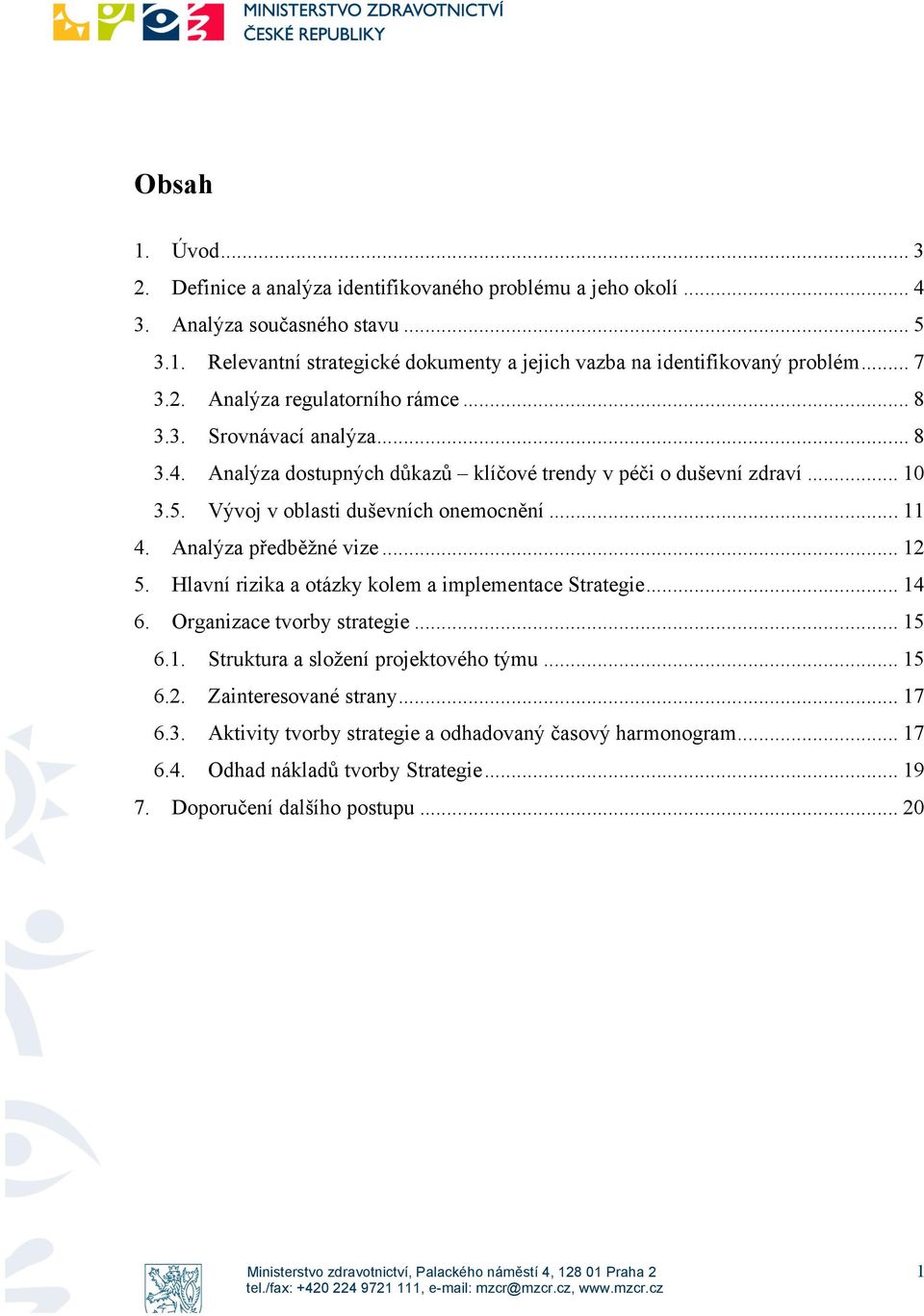 Vývoj v oblasti duševních onemocnění... 11 4. Analýza předběžné vize... 12 5. Hlavní rizika a otázky kolem a implementace Strategie... 14 6. Organizace tvorby strategie... 15 6.1. Struktura a složení projektového týmu.