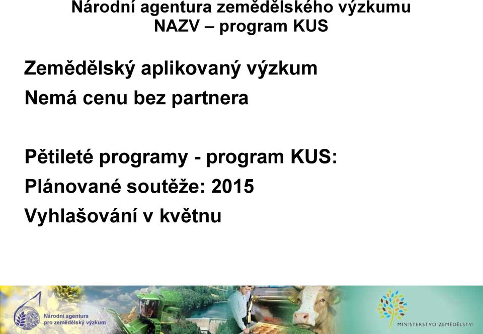 cenu bez partnera Pětileté programy - program