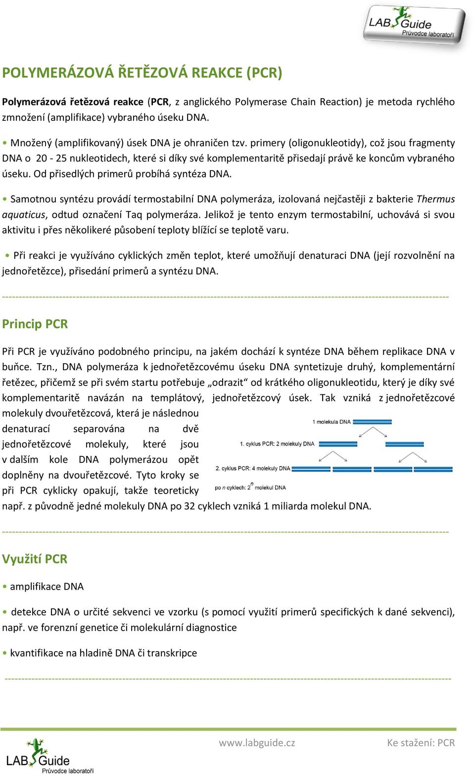 Od přisedlých primerů probíhá syntéza DNA. Samotnou syntézu provádí termostabilní DNA polymeráza, izolovaná nejčastěji z bakterie Thermus aquaticus, odtud označení Taq polymeráza.
