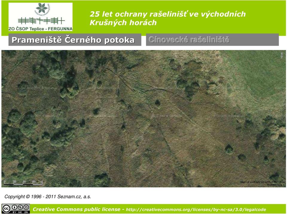 rašelini eliniště
