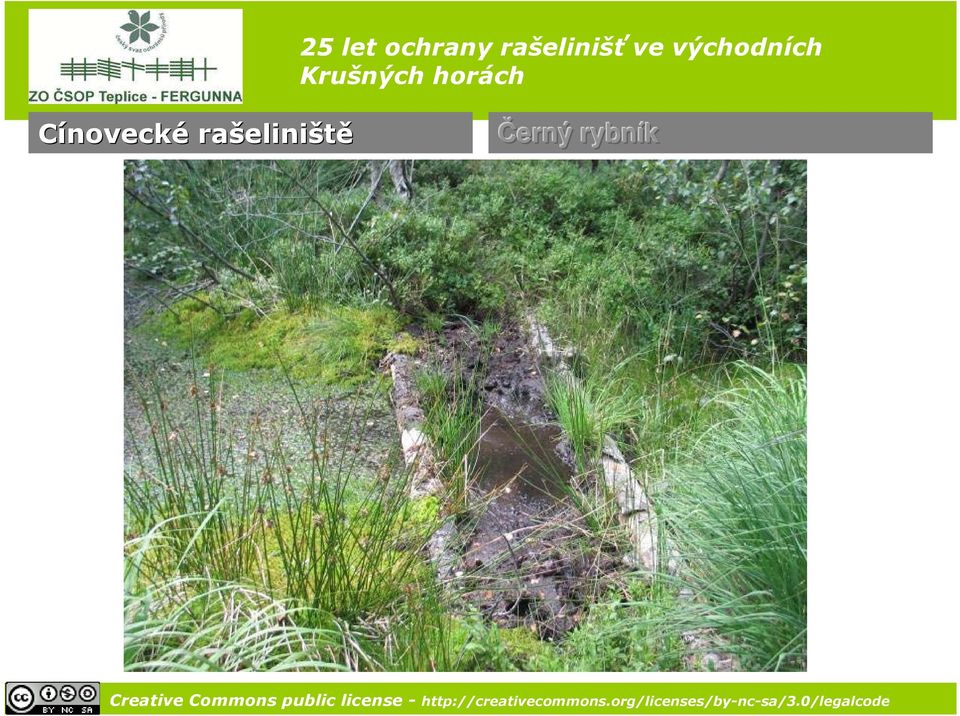 eliniště