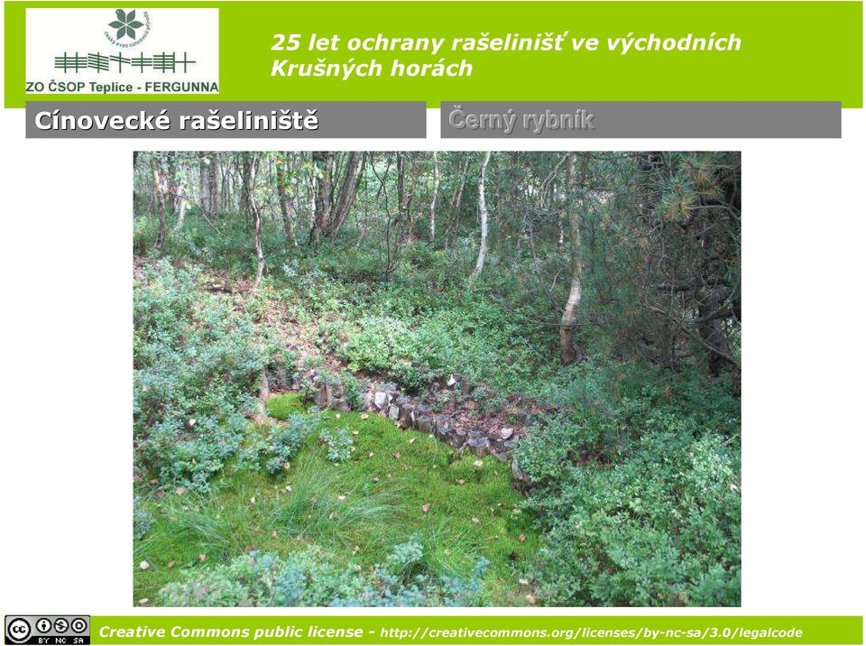 eliniště