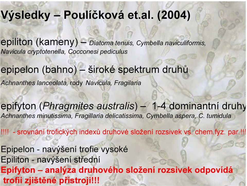 (2004) epiliton (kameny) Diatoma tenuis, Cymbella naviculiformis, Navicula cryptotenella, Cocconesi pediculus epipelon (bahno) široké spektrum