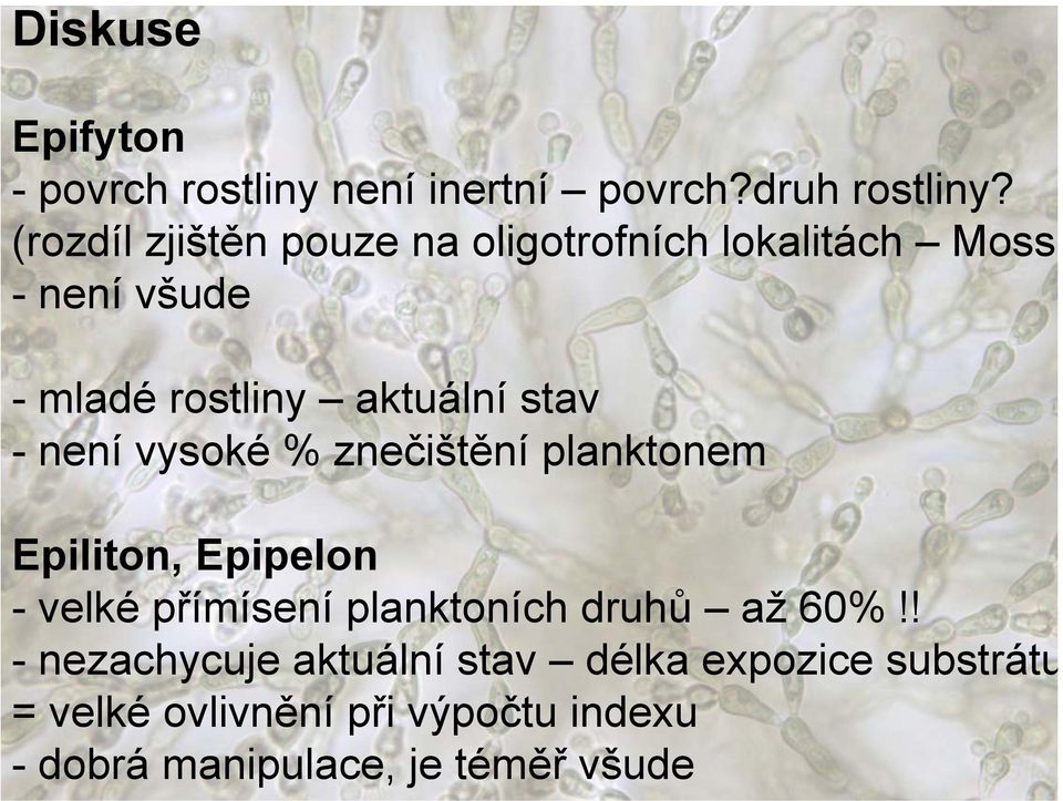 - není vysoké % znečištění planktonem Epiliton, Epipelon -velképřímísení planktoních druhů až 60%!