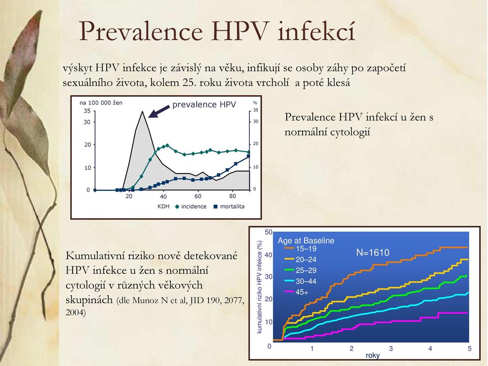 20 40 60 80 KDH incidence mortalita 0 Kumulativní riziko nově detekované HPV infekce u žen s normální cytologií v různých věkových skupinách