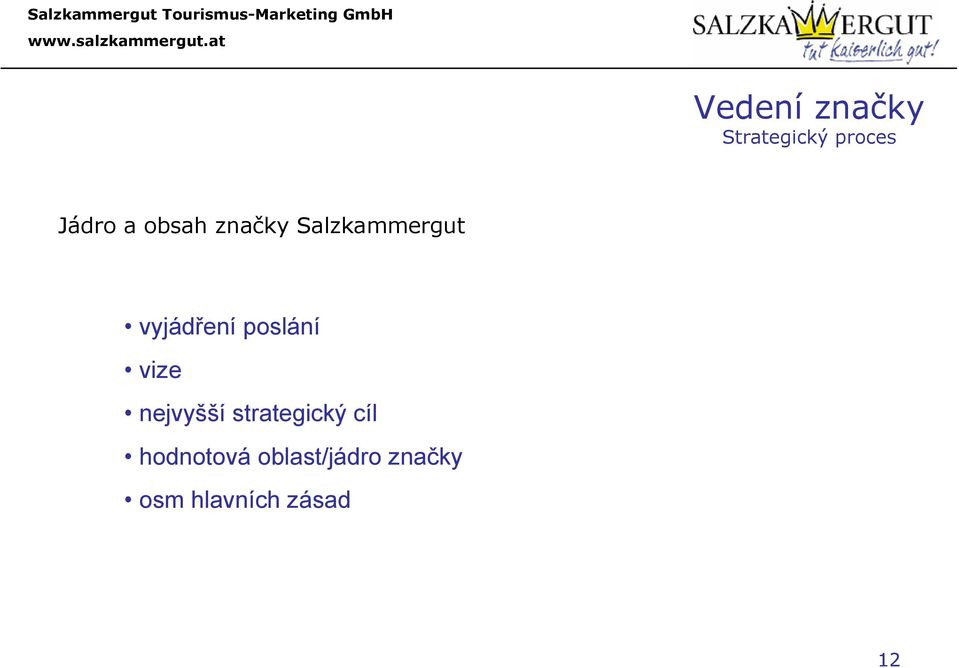poslání vize nejvyšší strategický cíl