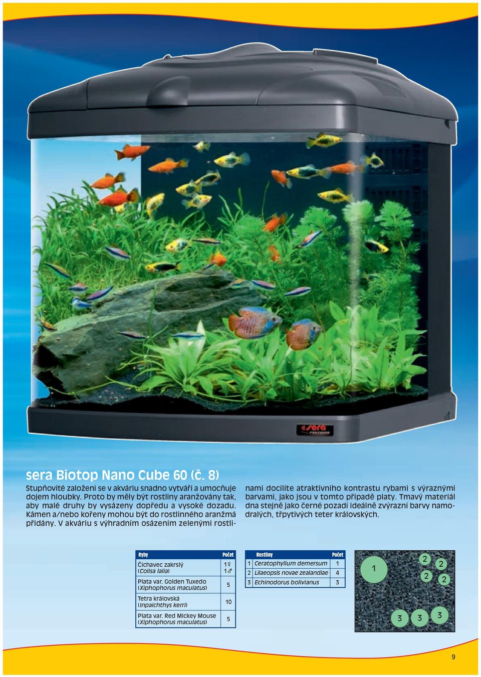 V akváriu s výhradním osázením zelenými rostlinami docílíte atraktivního kontrastu rybami s výraznými barvami, jako jsou v tomto p ípadï platy.