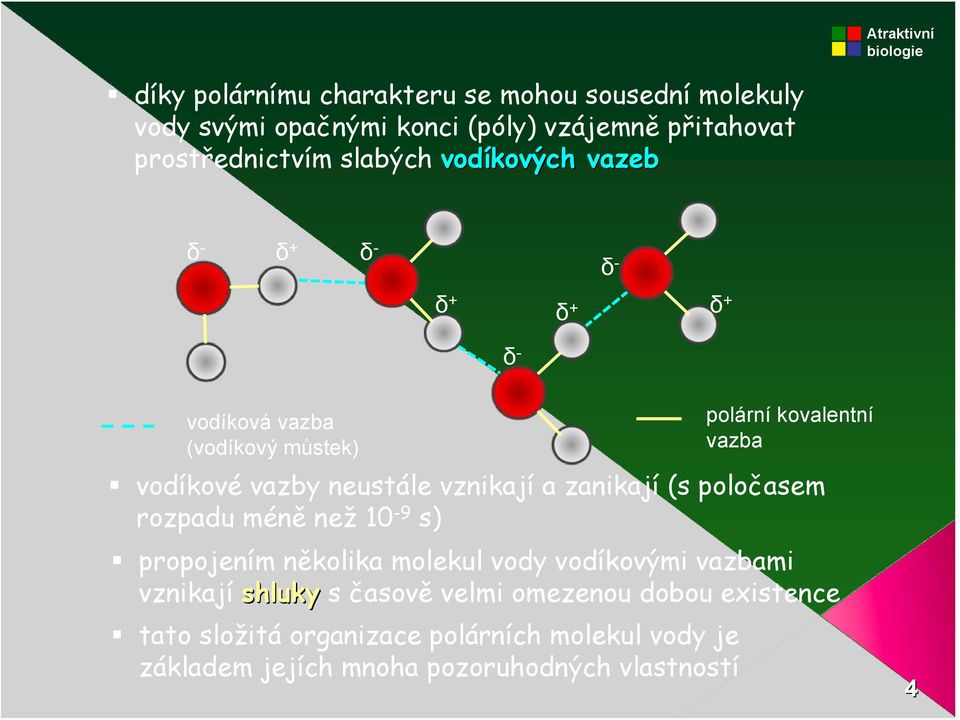 vznikají a zanikají (s poločasem rozpadu méně než 10-9 s) propojením několika molekul vody vodíkovými vazbami vznikají shluky s