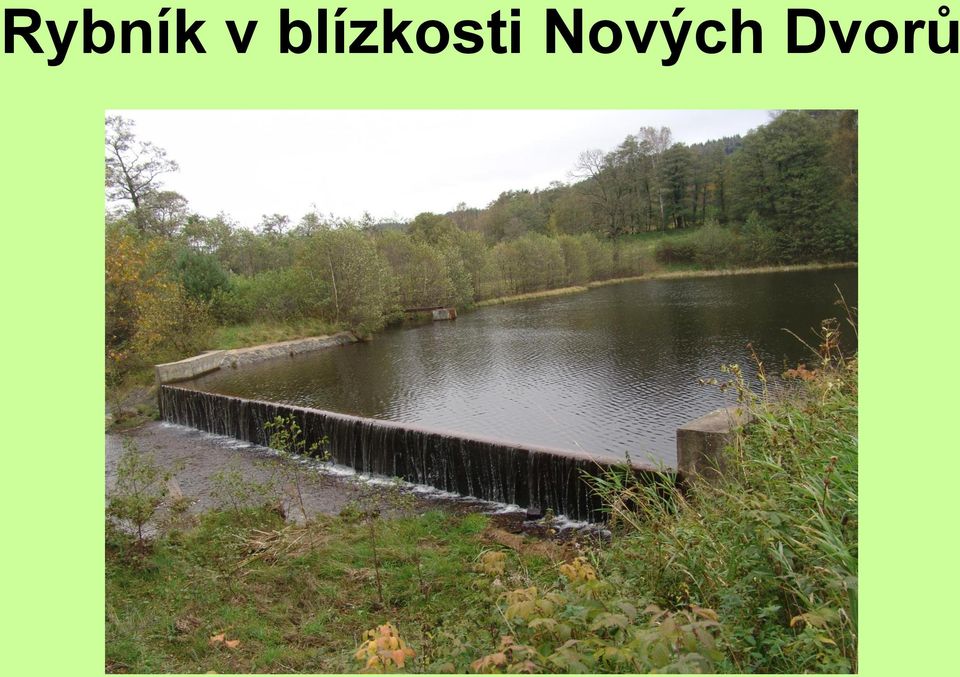 Nových