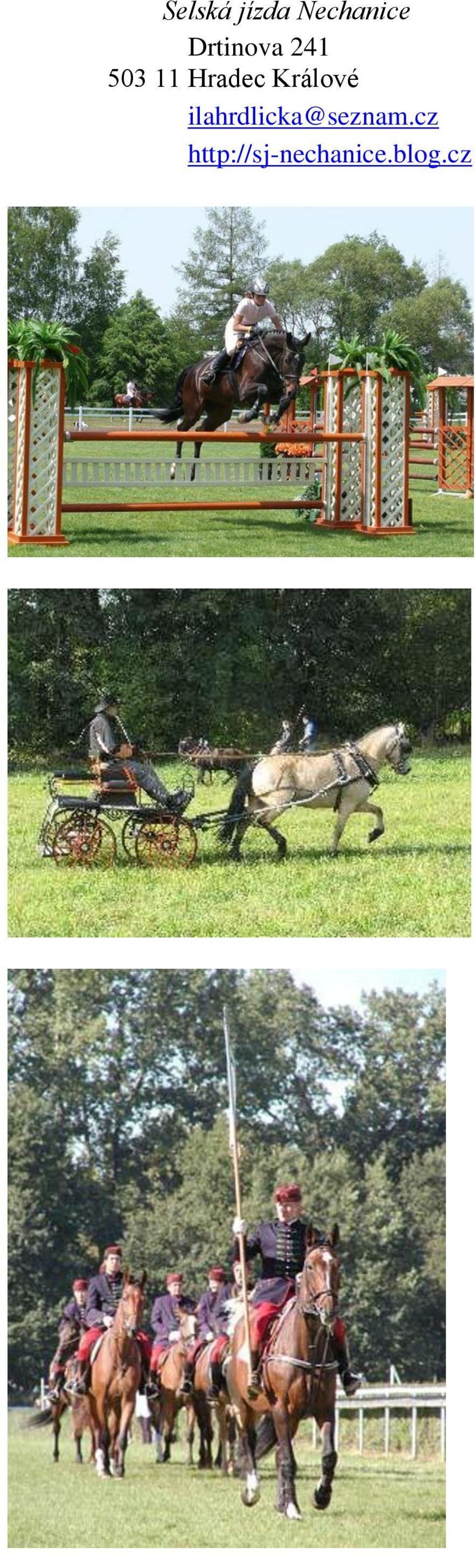 Králové ilahrdlicka@seznam.