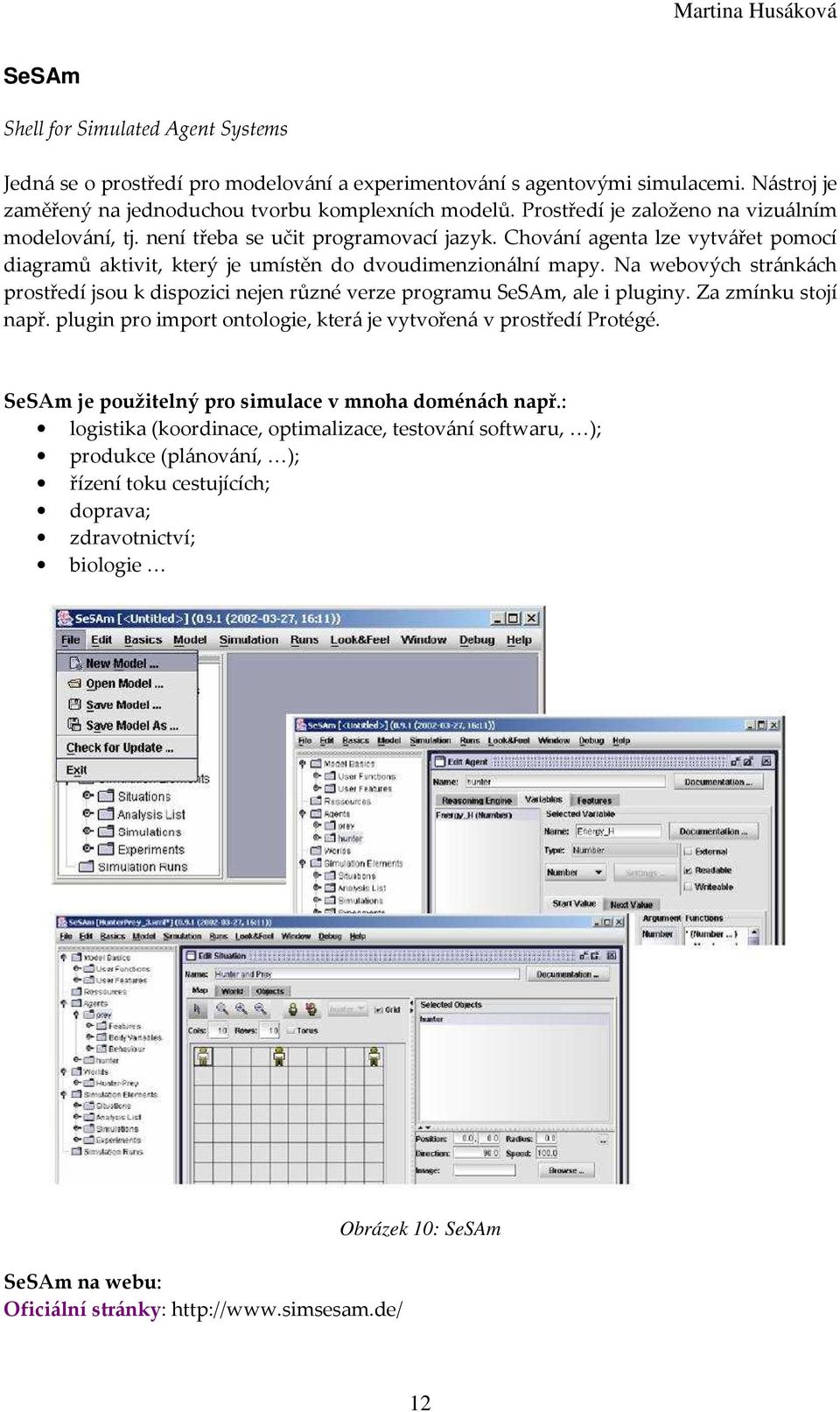 Na webových stránkách prostředí jsou k dispozici nejen různé verze programu SeSAm, ale i pluginy. Za zmínku stojí např. plugin pro import ontologie, která je vytvořená v prostředí Protégé.