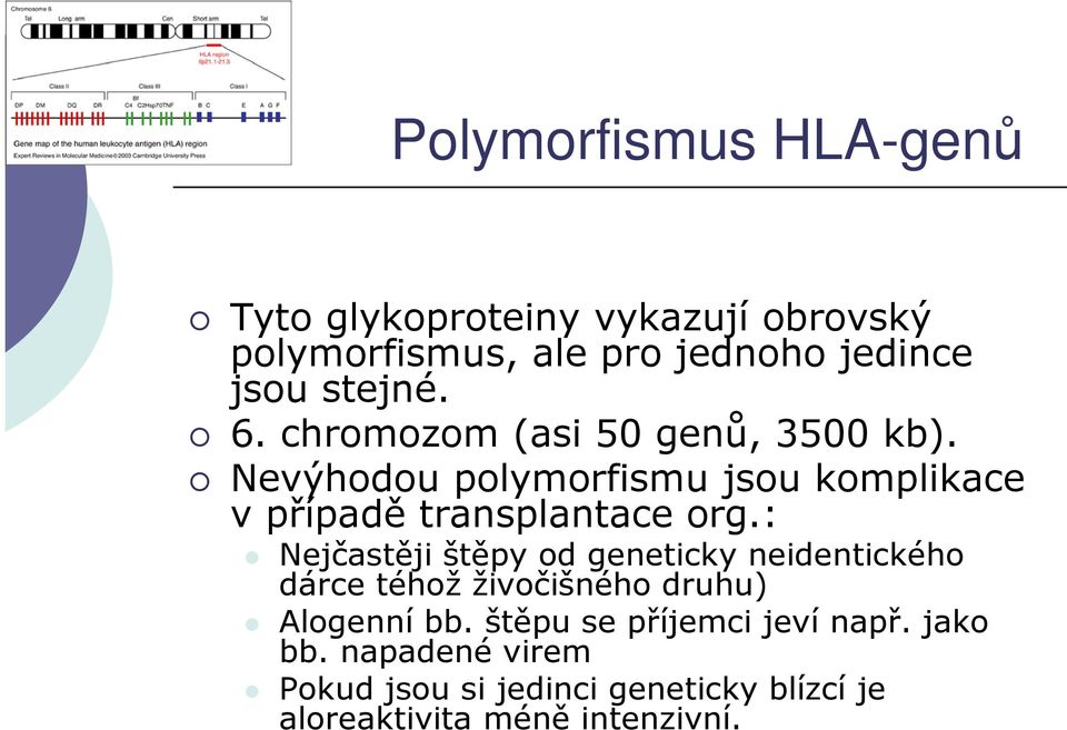 Nevýhodou polymorfismu jsou komplikace v případě transplantace org.