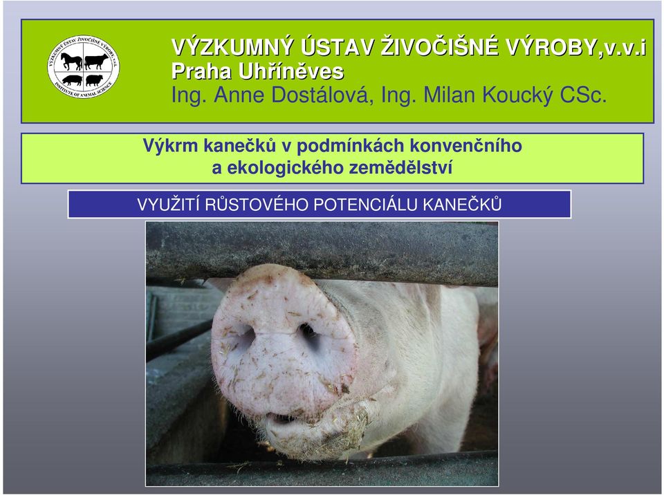 Milan Koucký CSc.