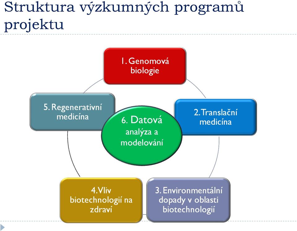 programů projektu