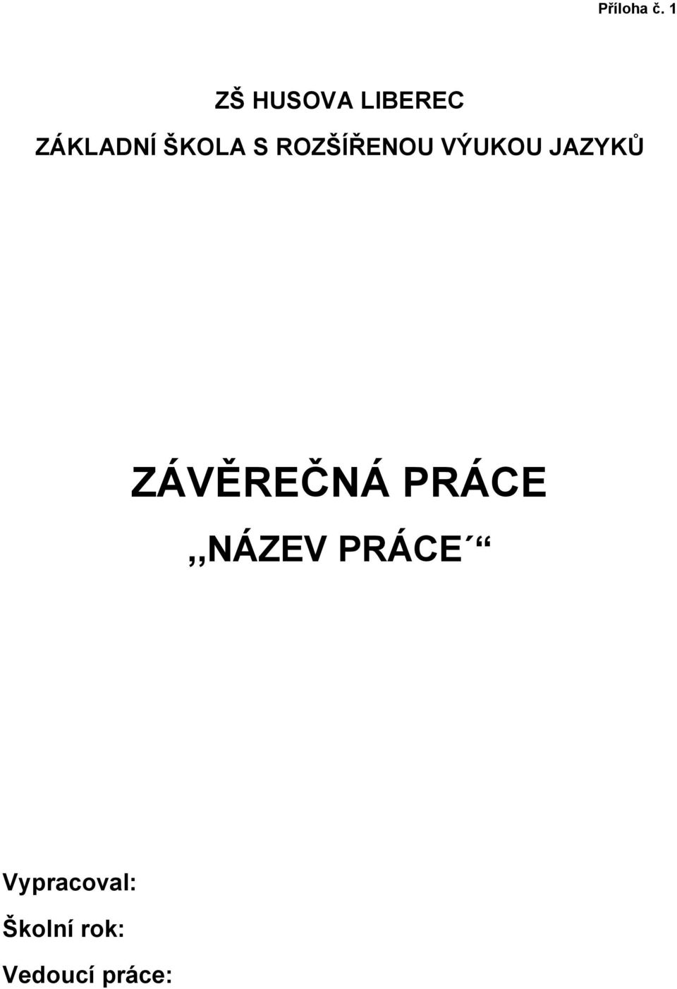 S ROZŠÍŘENOU VÝUKOU JAZYKŮ
