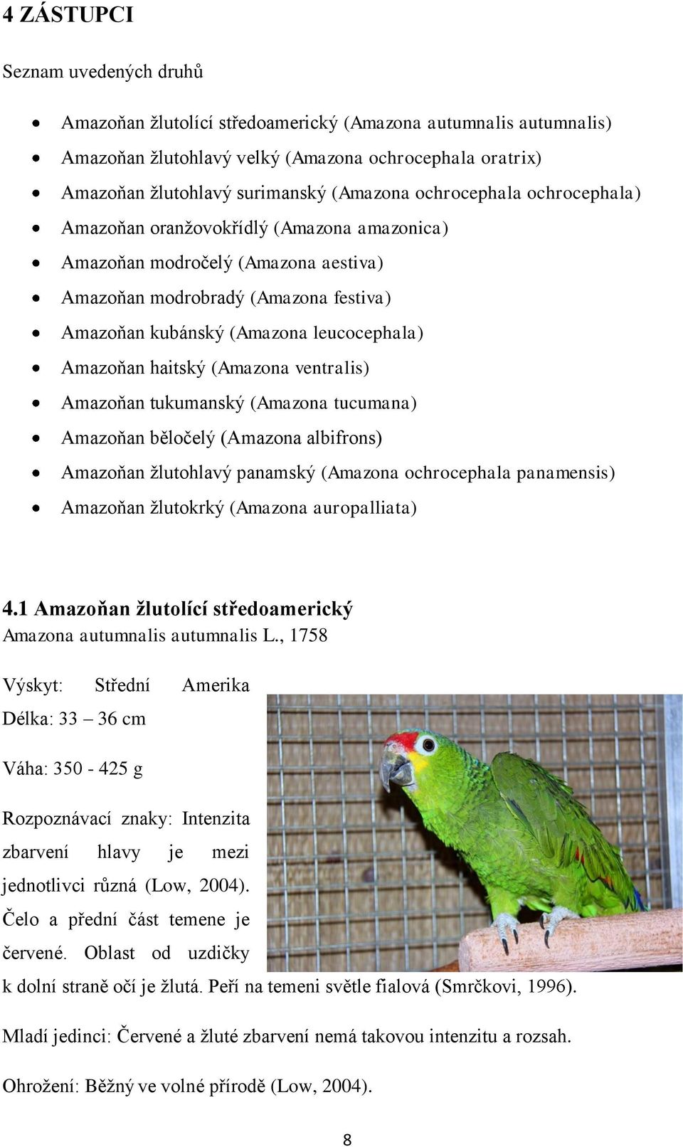 haitský (Amazona ventralis) Amazoňan tukumanský (Amazona tucumana) Amazoňan běločelý (Amazona albifrons) Amazoňan žlutohlavý panamský (Amazona ochrocephala panamensis) Amazoňan žlutokrký (Amazona