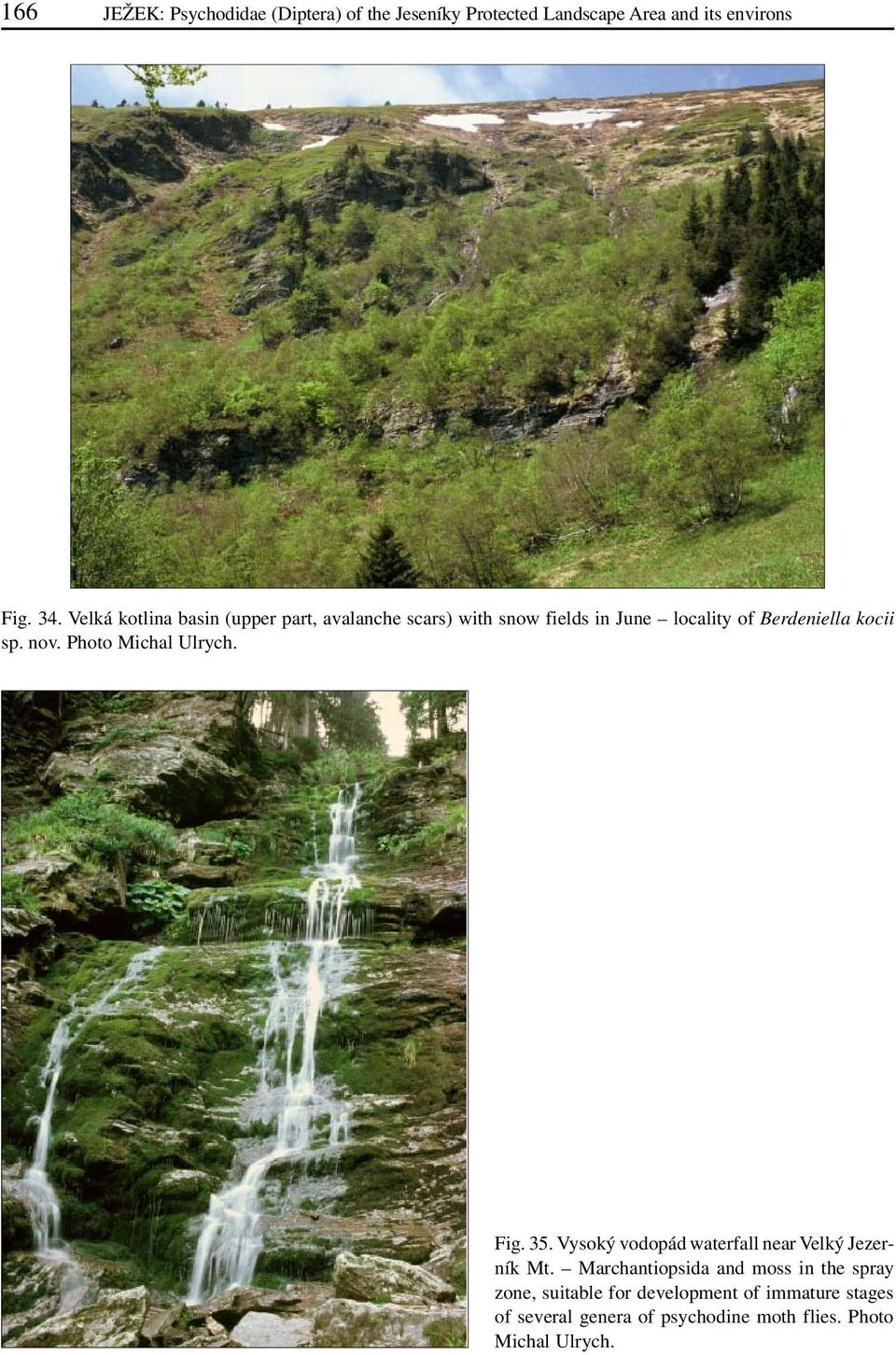nov. Photo Michal Ulrych. Fig. 35. Vysoký vodopád waterfall near Velký Jezerník Mt.