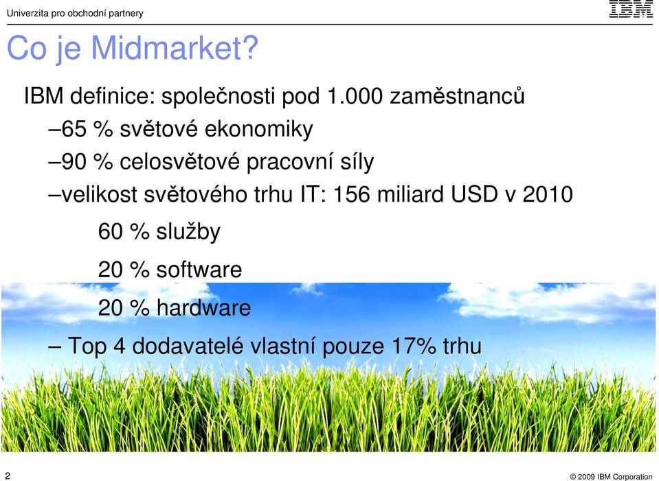 pracovní síly velikost světového trhu IT: 156 miliard USD v