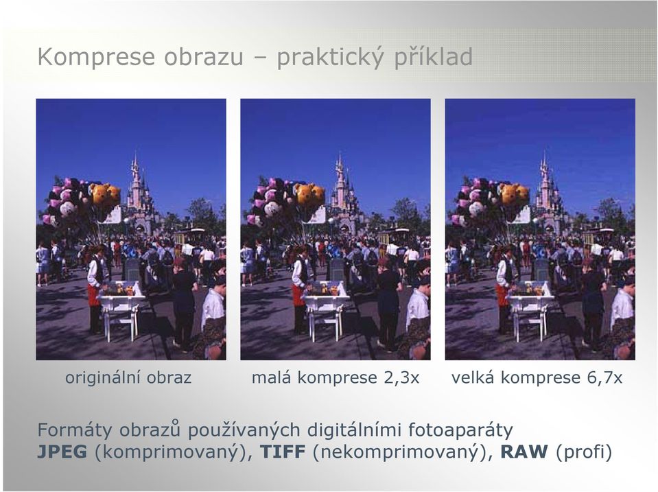 Formáty obrazů používaných digitálními