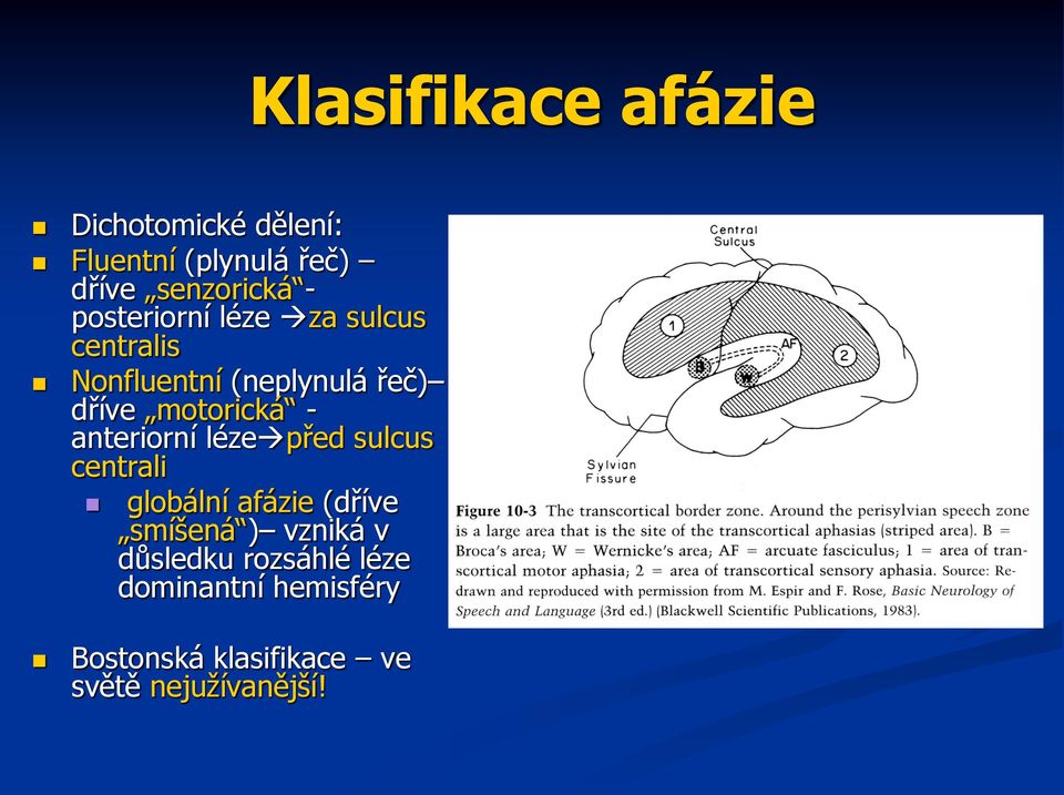 anteriorní léze před sulcus centrali globální afázie (dříve smíšená ) vzniká v