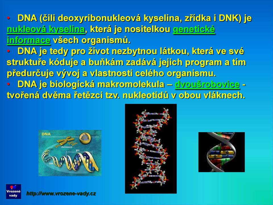 DNA je tedy pro život nezbytnou látkou, která ve své struktuře kóduje a buňkám zadává jejich