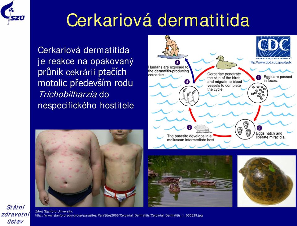 nespecifického hostitele Zdroj Stanford University: http://www.stanford.