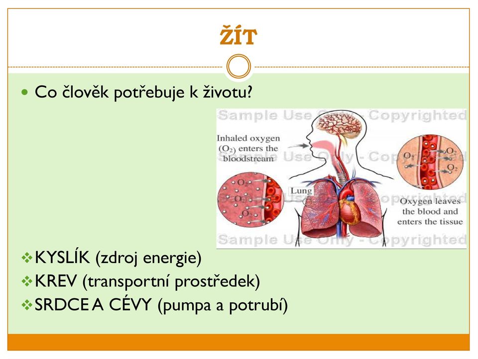 KYSLÍK (zdroj energie) KREV