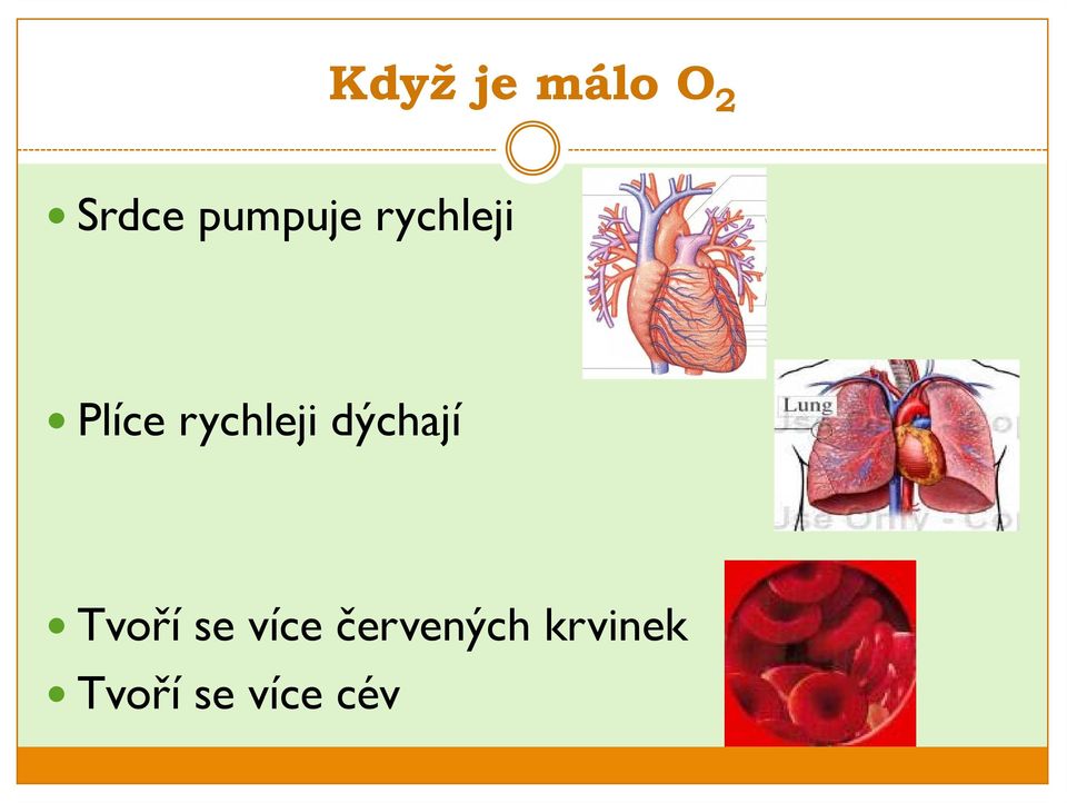 rychleji dýchají Tvoří se