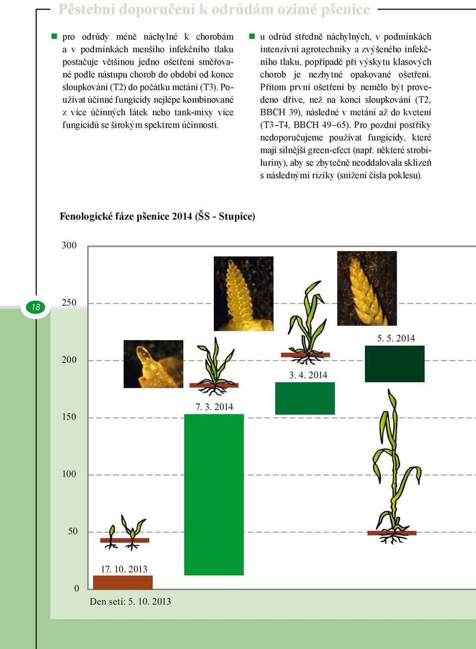 u odrůd středně náchylných, v podmínkách intenzívní agrotechniky a zvýšeného infekčního tlaku, popřípadě při výskytu klasových chorob je nezbytné opakované ošetření.