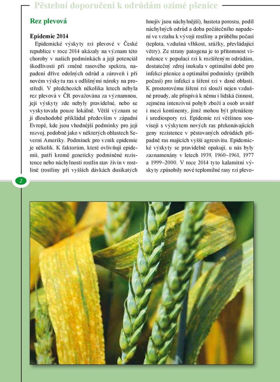 V předchozích několika letech nebyla rez plevová v ČR považována za významnou, její výskyty zde nebyly pravidelné, nebo se vyskytovala pouze lokálně.