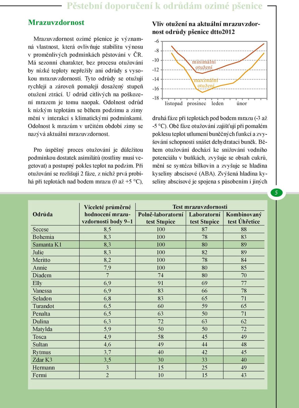 U odrůd citlivých na poškození mrazem je tomu naopak. Odolnost odrůd k nízkým teplotám se během podzimu a zimy mění v interakci s klimatickými podmínkami.