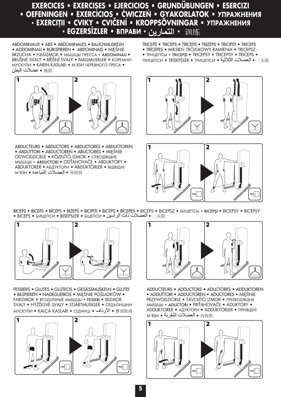 TRICEPS TRICEPS TRÍCEPS TRIZEPS TRICIPITI TRICEPS TRÍCEPES MIESIEŃ TRÓJGŁOWY RAMIENIA TRICEPSZ ТРИЦЕПСЫ TRICEPŞI TRICEPSY TRICEPSY TRICEPS ТРИЦЕПСИ TRİSEPSLER ТРИЦЕПСИ ABDUCTEURS ABDUCTORS ABDUCTORES