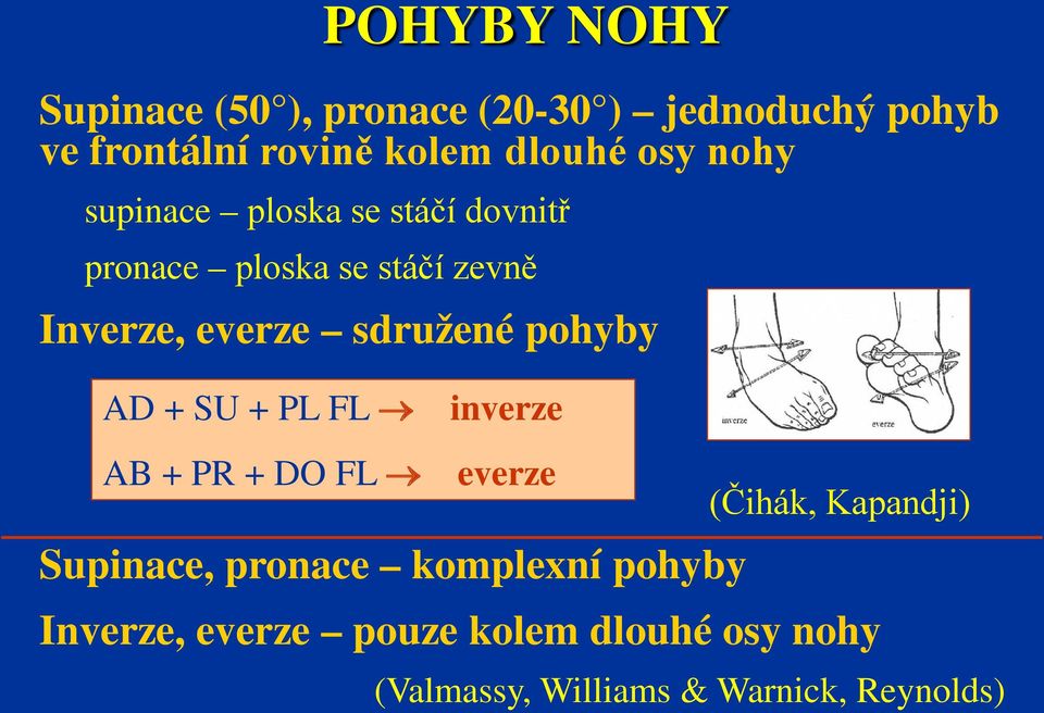 sdružené pohyby AD + SU + PL FL inverze AB + PR + DO FL everze Supinace, pronace komplexní