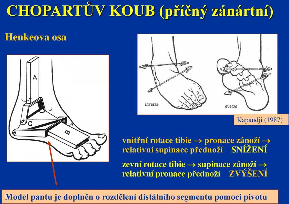 SNÍŽENÍ zevní rotace tibie supinace zánoží relativní pronace