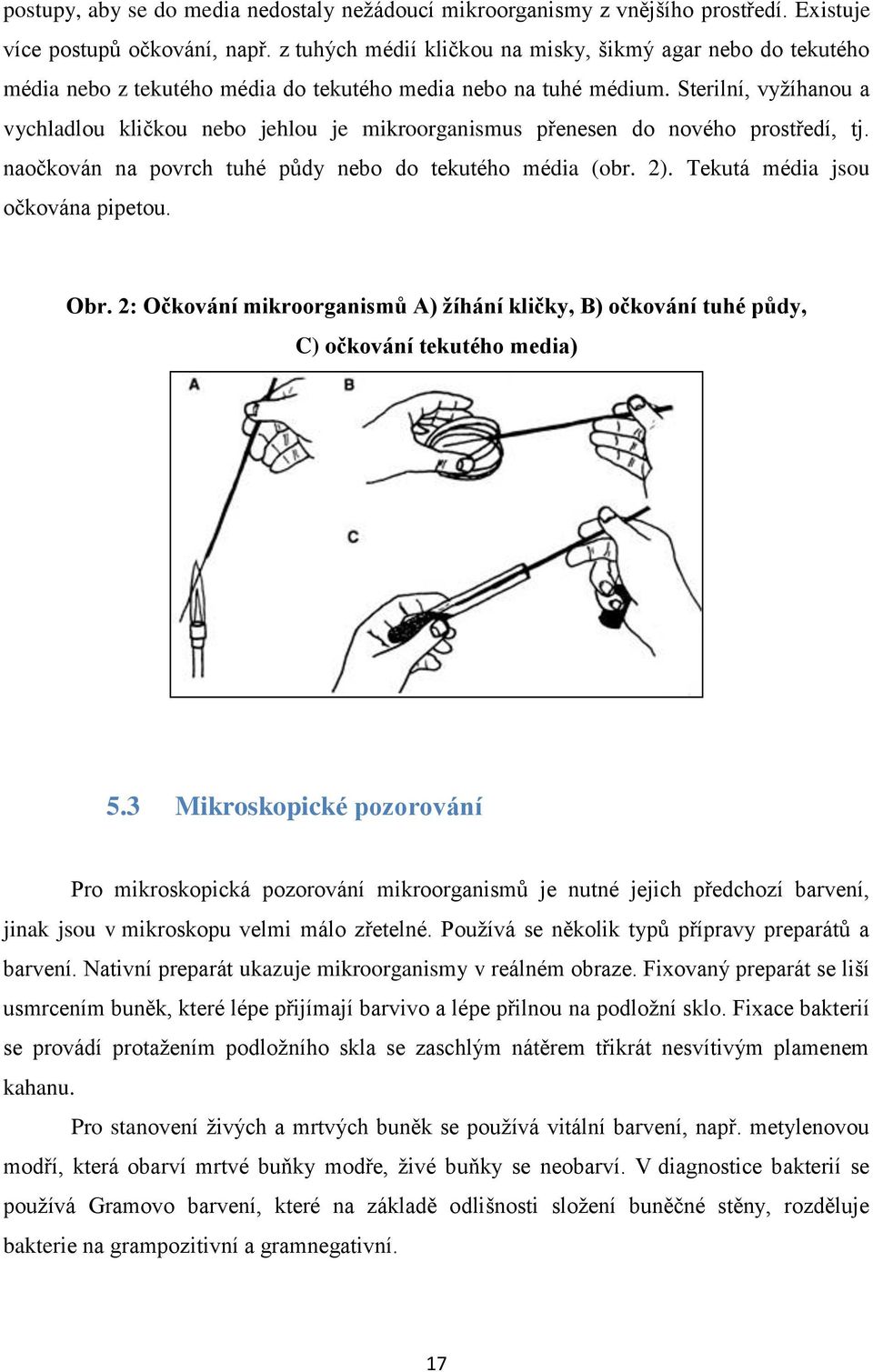 Sterilní, vyžíhanou a vychladlou kličkou nebo jehlou je mikroorganismus přenesen do nového prostředí, tj. naočkován na povrch tuhé půdy nebo do tekutého média (obr. 2).