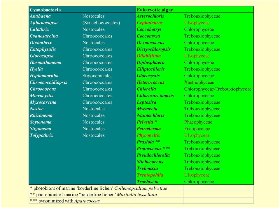 Hormathonema Chroococcales Diplosphaera Chlorophyceae Hyella Chroococcales Elliptochloris Trebouxiophyceae Hyphomorpha Stigonematales Gloeocystis Chlorophyceae Chroococcidiopsis Chroococcales