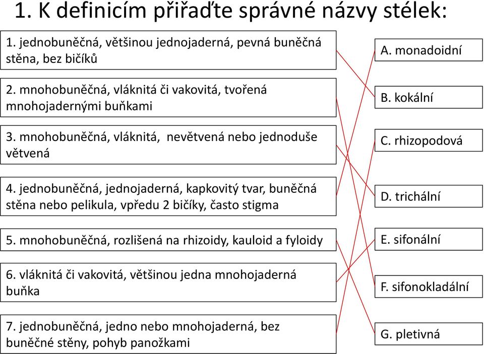 jednobuněčná, jednojaderná, kapkovitý tvar, buněčná stěna nebo pelikula, vpředu 2 bičíky, často stigma 5.