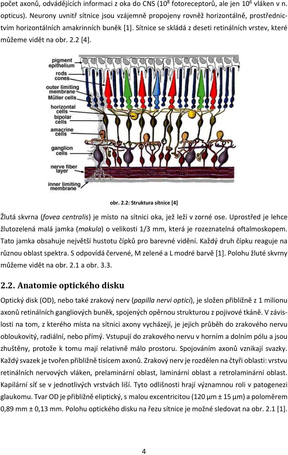 2 [4]. obr. 2.2: Struktura sítnice [4] Žlutá skvrna (fovea centralis) je místo na sítnici oka, jež leží v zorné ose.