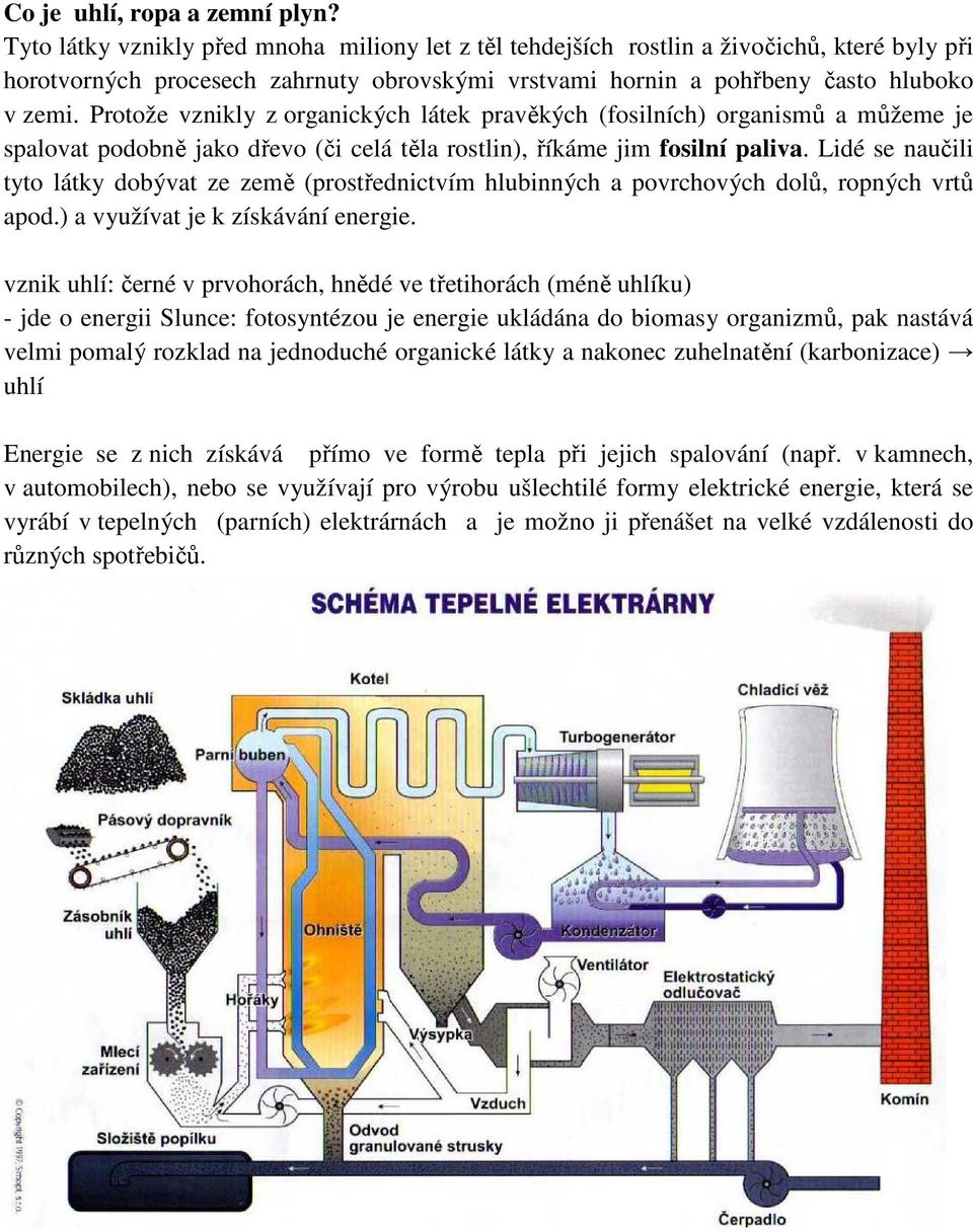 Protože vznikly z organických látek pravěkých (fosilních) organismů a můžeme je spalovat podobně jako dřevo (či celá těla rostlin), říkáme jim fosilní paliva.