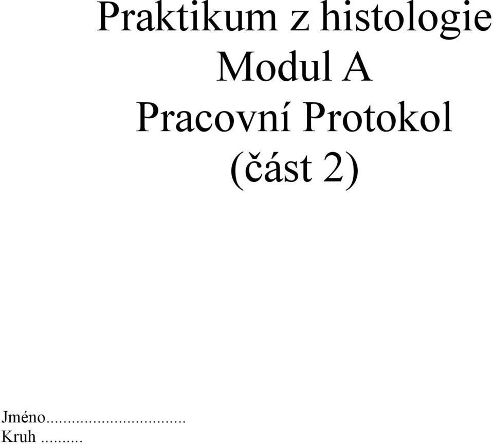 Pracovní Protokol