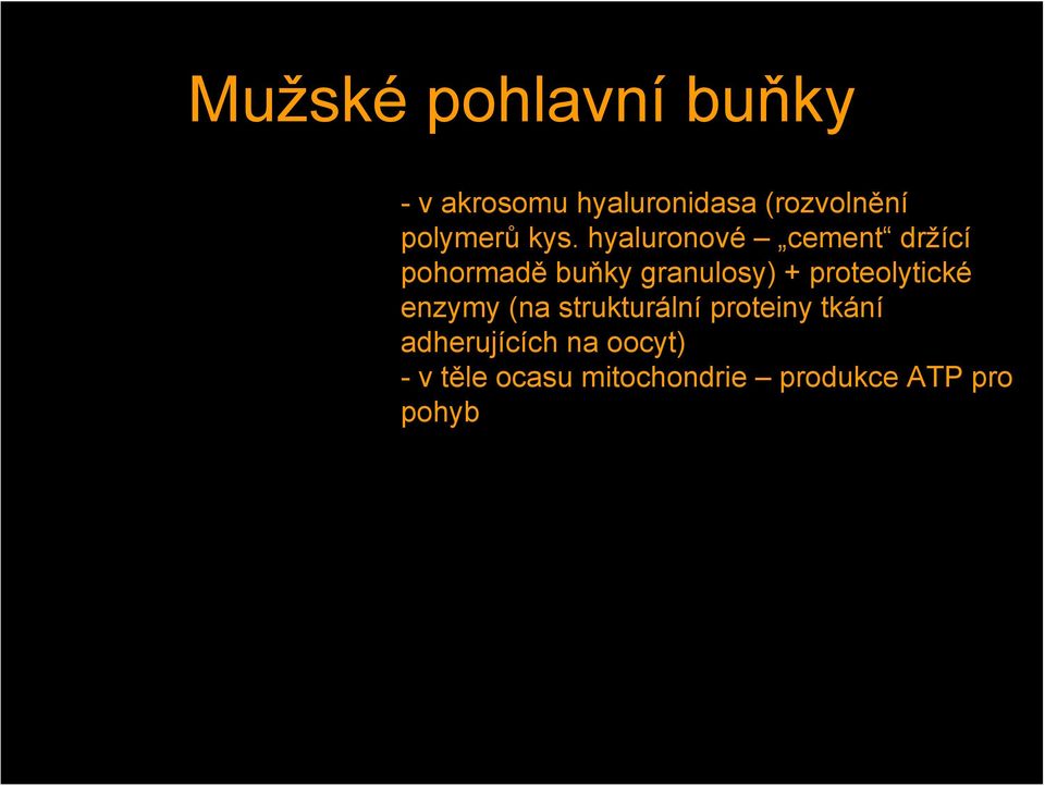 hyaluronové cement držící pohormadě buňky granulosy) +