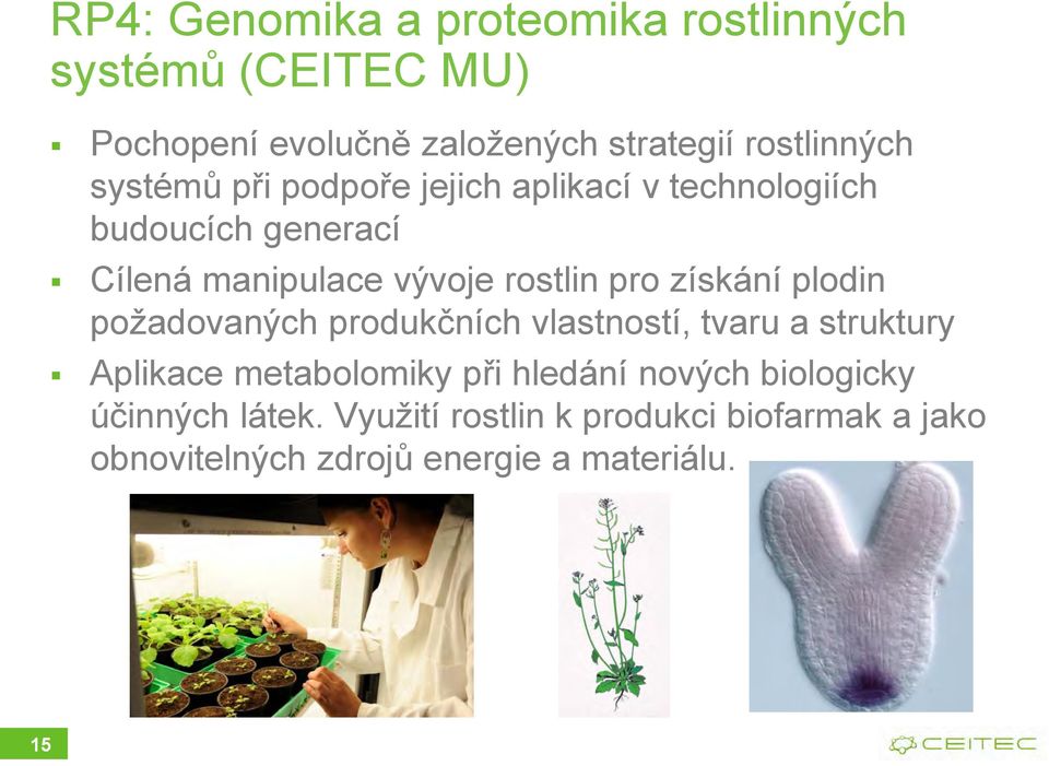 získání plodin požadovaných produkčních vlastností, tvaru a struktury Aplikace metabolomiky při hledání nových