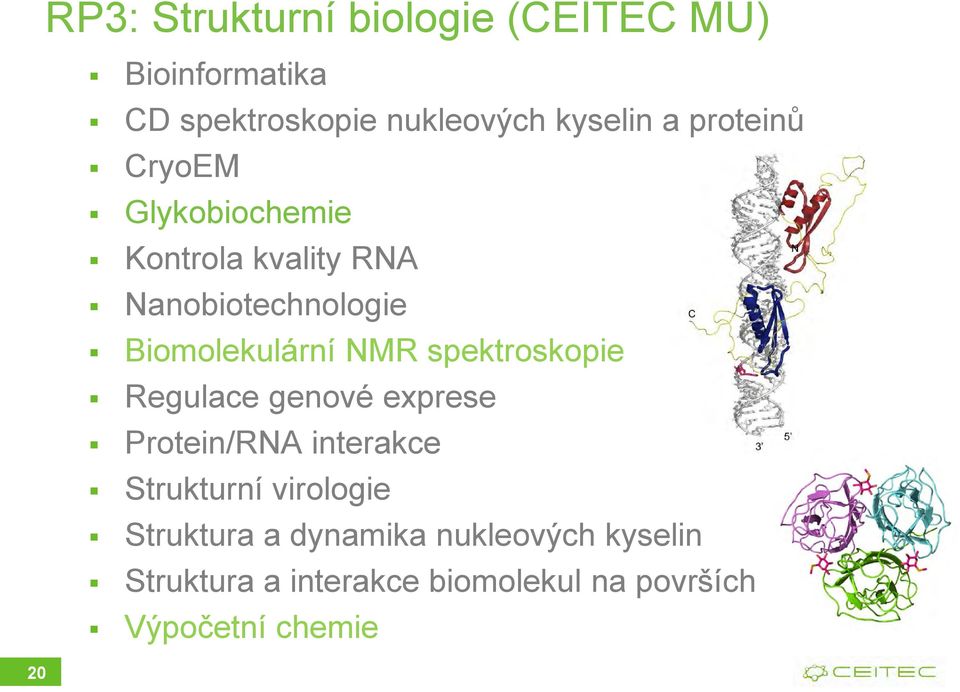 spektroskopie Regulace genové exprese Protein/RNA interakce Strukturní virologie Struktura